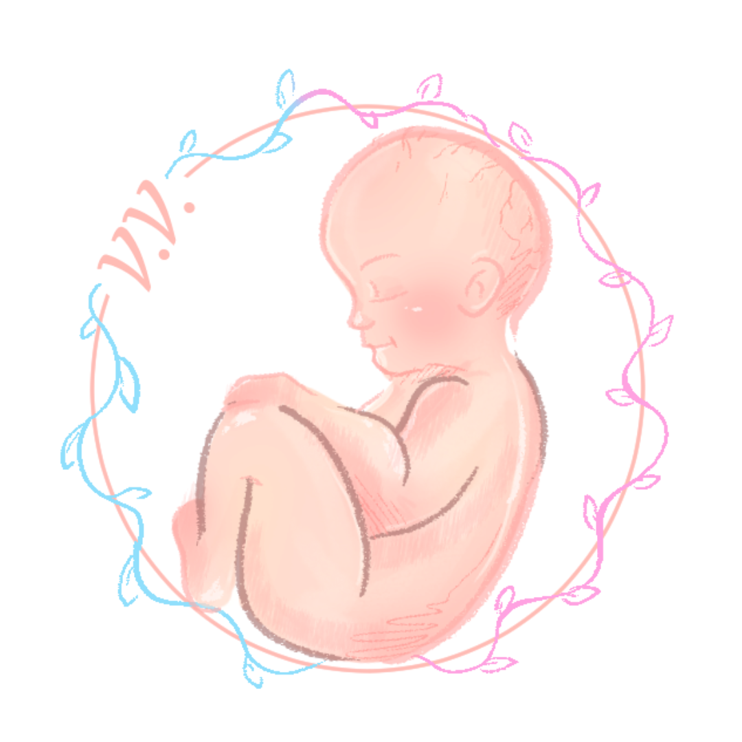 Logo Dr. Varodi Viorica